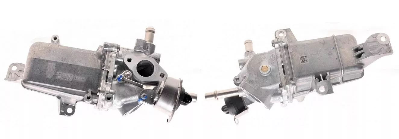 CE49000P EGR SOGUTUCUSU TRAFIC-III 15 MEGANE-IV (15-) TALISMAN (15) 1.6 DCI