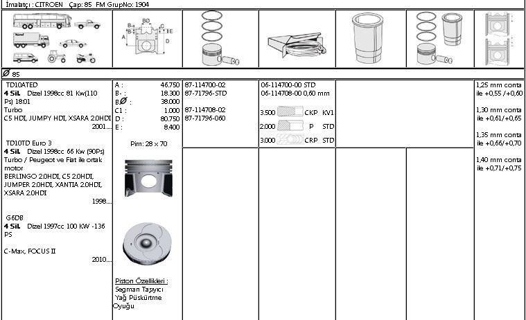 ISS-8771796060000G Piston Segmanı Fiat Scudo