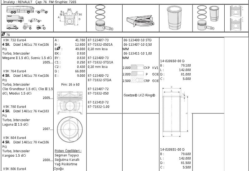 ISS-877183205010AG Piston Segmanı Renault Clio