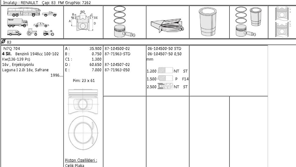 ISS-8771963050000G Piston Segmanı Renault Laguna I