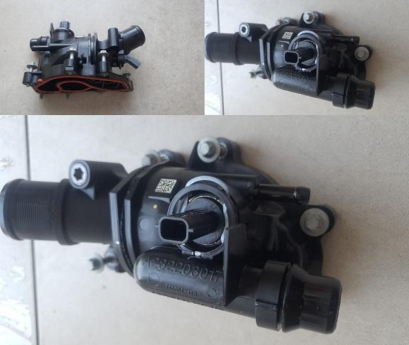 OEM-110601741R Termostat Renault Megane IV