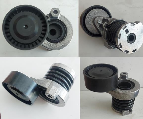 OEM-117504048R Alternatör Gergi Kütüğü