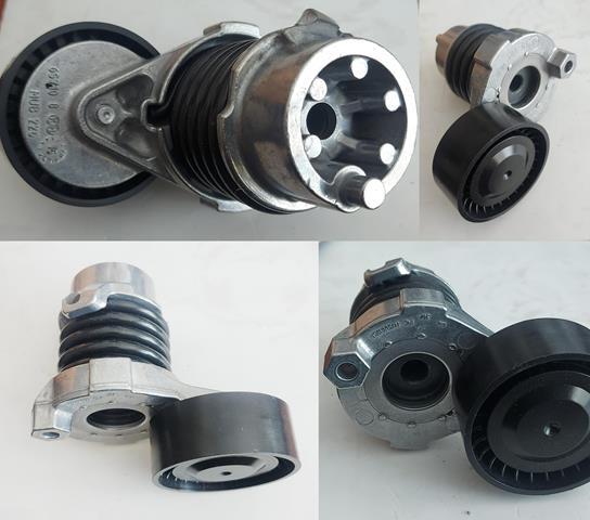 OEM-117506193R Alternatör Gergi Rulmanı