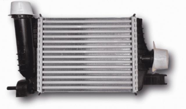 OEM-144961019R Turboşarj Renault Clio V