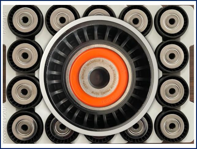 OEM-8200725951 Gergi Rulmanı Renault Master III
