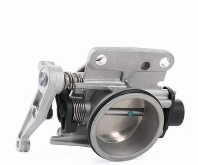 OEM-9647925480 Gaz Kelebeği Peugeot 206