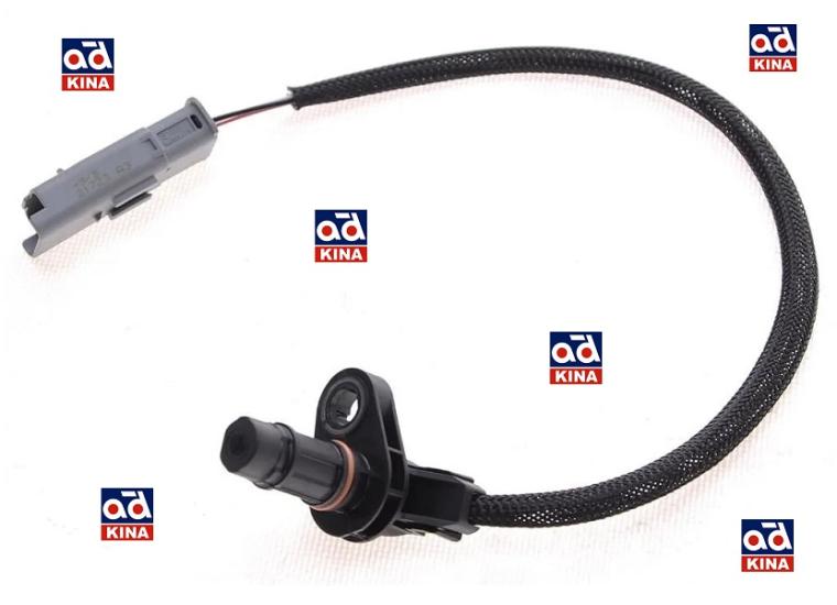 OEM-9816032180 Eksantrik Mili Konum Sensörü