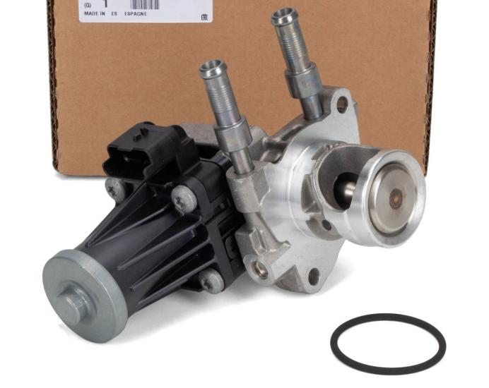OEM-9829870080 EGR Valfi Citroen C3, Citroen C4
