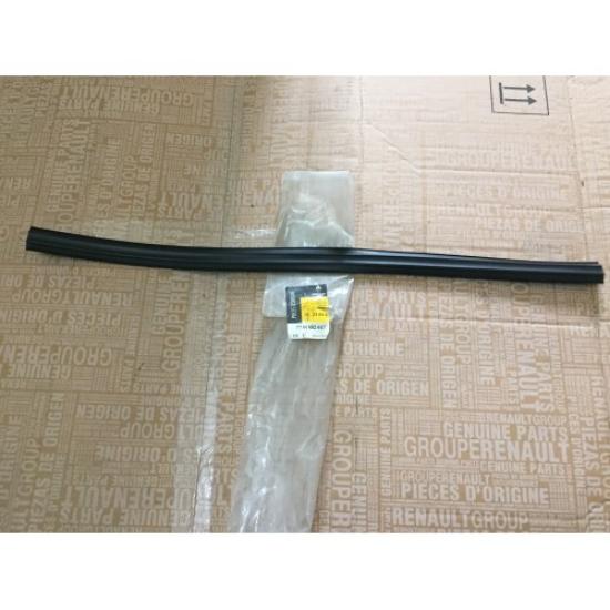 SP-10039 Cam Lastiği Arka Renault 9