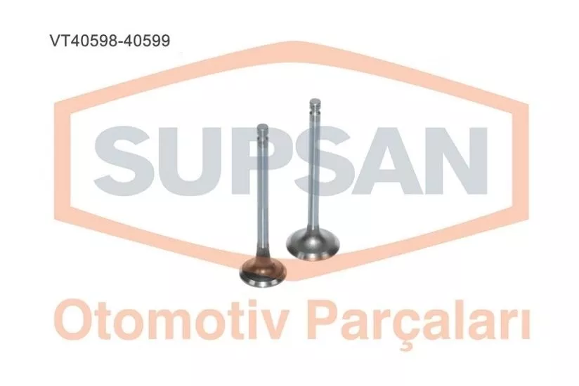 SÜPSAN-VT-40598-40599 Supap Takımı